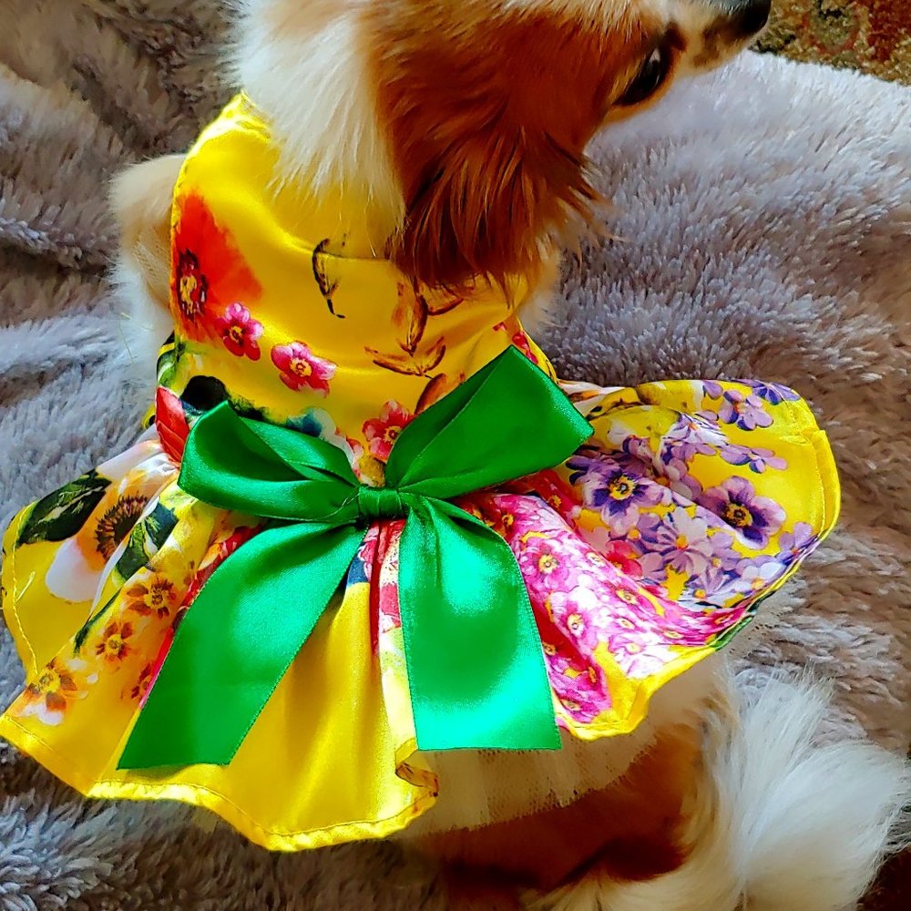 Dress for Pet